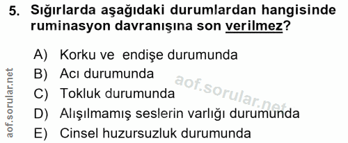 5. soru: Sığırlarda aşağıdaki durumlardan hangisinde ruminasyon davranışına son verilmez? A) Korku ve endişe durumunda B) Acı…