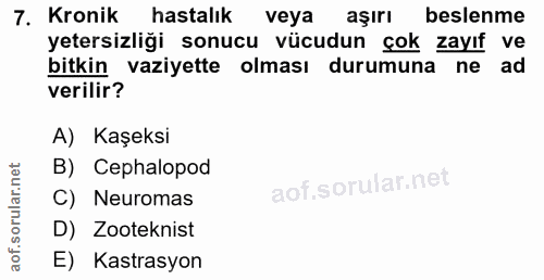 7. soru: Kronik hastalık veya aşırı beslenme yetersizliği sonucu vücudun çok zayıf ve bitkin vaziyette olması durumuna ne ad v…