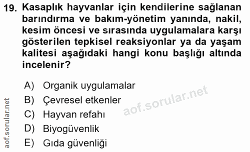 19. soru: Kasaplık hayvanlar için kendilerine sağlanan barındırma ve bakım-yönetim yanında, nakil, kesim öncesi ve sırasında uy…