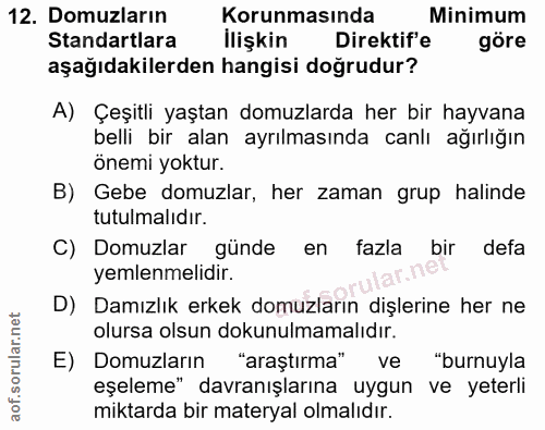 12. soru: Domuzların| Korunmasında Minimum Standartlara İlişkin Direktif'e göre aşağıdakilerden hangisi doğrudur? A) Çeşitli ya…