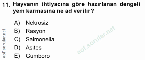 11. soru: Hayvanın ihtiyacına göre hazırlanan dengeli yem karmasına ne ad verilir? A) Nekrosiz B) Rasyon C) Salmonella D) Asite…