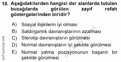 10. soru: Aşağıdakilerden hangisi dar alanlarda tutulan buzağılarda görülen zayıf refah göstergelerinden biridir? A) Sosyal ili…