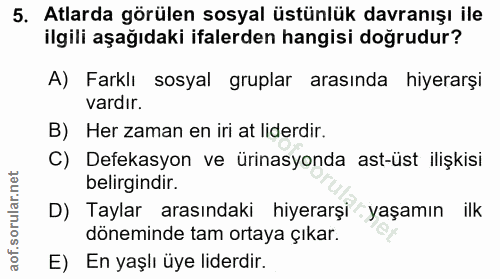 5. soru: Atlarda görülen sosyal üstünlük davranışı ile ilgili aşağıdaki ifalerden hangisi doğrudur? A) Farklı sosyal gruplar a…