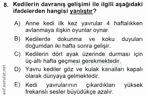 8. soru: Kedilerin davranış gelişimi ile ilgili aşağıdaki ifadelerden hangisi yanlıştır? A) Anne kedi ilk kez yavrular 4 hafta…