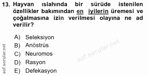 13. soru: Hayvan ıslahında bir sürüde istenilen özellikler bakımından en iyilerin üremesi ve çoğalmasına izin verilmesi olayına…