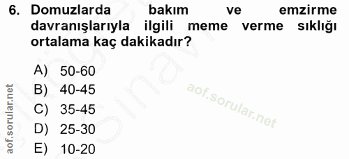 6. soru: Domuzlarda bakım ve emzirme davranışlarıyla ilgili meme verme sıklığı ortalama kaç dakikadır? A) 50-60 B) 40-45 C) 35…