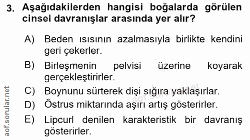 3. soru: Aşağıdakilerden hangisi boğalarda görülen cinsel davranışlar arasında yer alır? A) Beden ısısının azalmasıyla birlikt…