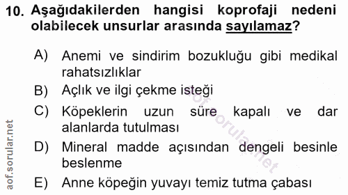 10. soru: Aşağıdakilerden hangisi koprofaji nedeni olabilecek unsurlar arasında sayılamaz? A) Anemi ve sindirim bozukluğu gibi…