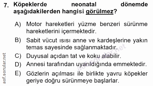7. soru: Köpeklerde neonatal dönemde aşağıdakilerden hangisi görülmez? A) Motor hareketleri yüzme benzeri sürünme hareketlerin…