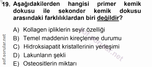 19. soru: Aşağıdakilerden hangisi primer kemik dokusu ile sekonder kemik dokusu arasındaki farklılıklardan biri değildir? A) Ko…