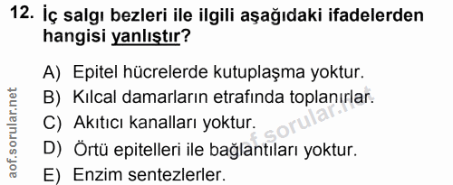 12. soru: İç salgı bezleri ile ilgili aşağıdaki ifadelerden hangisi yanlıştır? A) Epitel hücrelerde kutuplaşma yoktur. B) Kılca…