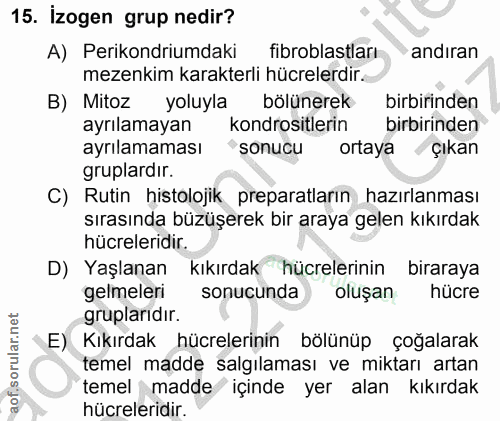 15. soru: İzogen grup nedir? A) Perikondriumdaki fibroblastları andiran mezenkim karakterli hücrelerdir. B) Mitoz yoluyla bölün…