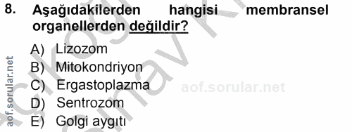 8. soru: Aşağıdakilerden hangisi membransel organellerden değildir? A) Lizozom B) Mitokondriyon C) Ergastoplazma Sentrozom E)…
