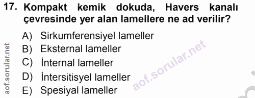 17. soru: Kompakt kemik dokuda, Havers kanalı çevresinde yer alan amellere ne ad verilir? A) Sirkumferensiyel lameller B) Ekste…
