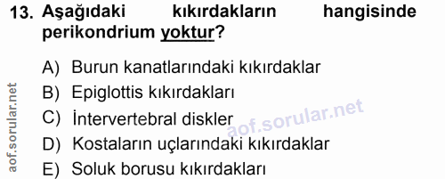 13. soru: Aşağıdaki kıkırdakların hangisinde perikondrium yoktur? A) Burun kanatlarındaki kıkırdaklar B) Epiglottis kıkırdaklar…