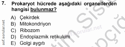 7. soru: Prokaryot hücrede aşağıdaki organellerden hangisi bulunmaz? A) Çekirdek B) Mitokondriyon orular.net Ribozom Endoplazm…
