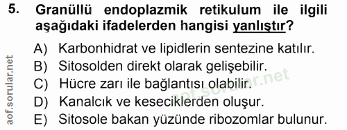 5. soru: Granüllü endoplazmik retikulum ile ilgili aşağıdaki ifadelerden hangisi yanlıştır? A) Karbonhidrat ve lipidlerin sent…