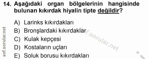 14. soru: Aşağıdaki organ bölgelerinin hangisinde bulunan kıkırdak hiyalin tipte değildir? A) Larinks kıkırdakları B) Bronşlard…