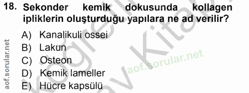 18. soru: Sekonder kemik dokusunda kollagen ipliklerin oluşturduğu yapılara ne ad verilir? A) Kanalikuli ossei B) Lakun C) Oste…