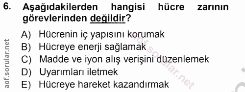 6. soru: Aşağıdakilerden hangisi hücre zarının görevlerinden değildir? A) Hücrenin iç yapısını korumak B) Hücreye enerji sağla…