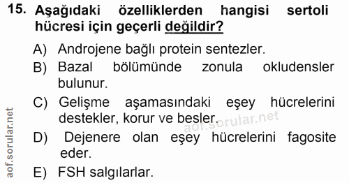 15. soru: Aşağıdaki özelliklerden hangisi sertoli hücresi için geçerli değildir? A) Androjene bağlı protein sentezler. B) Bazal…