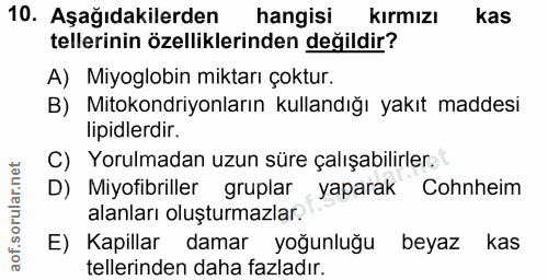 10. soru: Aşağıdakilerden hangisi kırmızı kas tellerinin özelliklerinden değildir? A) Miyoglobin miktarı çoktur. B) Mitokondriy…