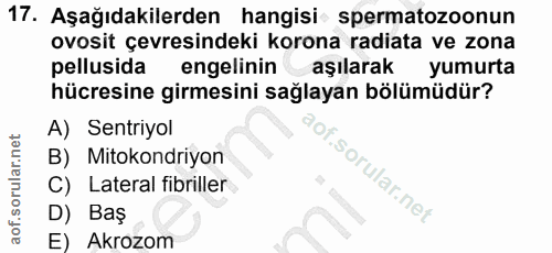 17. soru: Aşağıdakilerden hangisi spermatozoonun ovosit çevresindeki korona radiata ve zona pellusida engelininaşılarak yumurta…