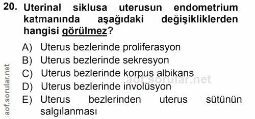 20. soru: Uterinal siklusa uterusun endometrium katmanında aşağıdaki değişikliklerden hangisi görülmez? A) Uterus bezlerinde pr…