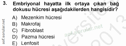 3. soru: Embriyonal hayatta ilk ortaya çıkan bağ dokusu hücresi aşağıdakilerden hangisidir? A) Mezenkim hücresi B) Makrotaj C)…