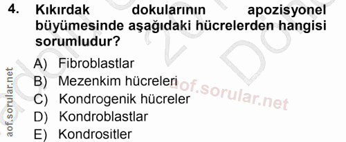 4. soru: Kıkırdak dokularının pozisyonel büyümesinde aşağıdaki hücrelerden hangisi sorumludur? A) Fibroblastlar B) Mezenkim hü…