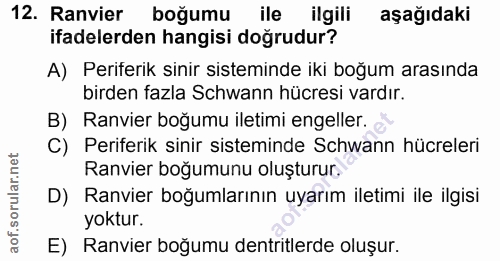 12. soru: Ranvier boğumu ile ilgili aşağıdaki ifadelerden hangisi doğrudur? A) Periferik sinir sisteminde iki boğum arasında bi…