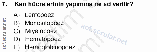 7. soru: Kan hücrelerinin yapımına ne ad verilir? A) Lenfopoez B) Monositopoez C) Miyelopoez D) Hematopoez E) Hemoglobinopoez