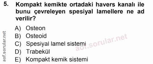 5. soru: Kompakt kemikte ortadaki havers kanalı ile bunu çevreleyen spesiyal lamellere ne ad verilir? A) Osteon C) Spesiyal la…