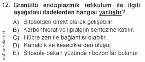 12. soru: Granüllü endoplazmik retikulum ile ilgili aşağıdaki ifadelerden hangisi yanlıştır? A) Sitosolden dırekt olarak gelışe…