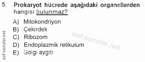 5. soru: Prokaryot hücrede aşağıdaki organellerden hangisi bulunmaz? A) Mitokondriyon B) Çekirdek C) Ribozom D) Endoplazmik re…