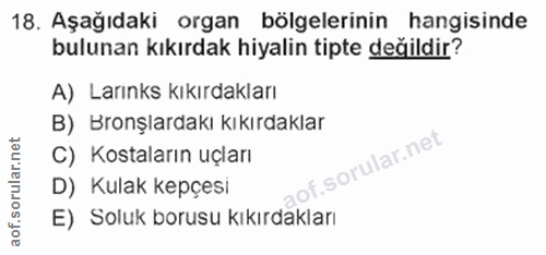 18. soru: Aşağıdaki organ bölgelerinin hangisinde bulunan kıkırdak hiyalin tipte değildir? A) Larınks kıkırdakları B) Bronşlard…