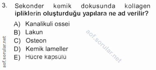 3. soru: Sekonder kemik dokusunda kollagen ipliklerin oluşturduğu yapılara ne ad verilir? A) Kanalikuli ossei B) Lakun C) Oste…