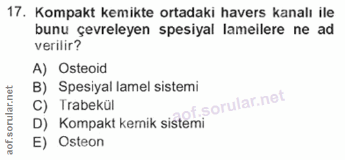 17. soru: Kompakt kemikte ortadaki havers kanalı ile bunu çevreleyen spesiyal lamellere ne ad verilir? A) Osteoid B) Spesiyal l…