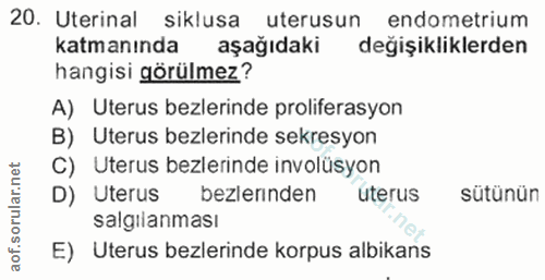 20. soru: Uterinal siklusa uterusun endometrium katmanında aşağıdaki değişikliklerden hangisi görülmez? A) Uterus bezlerinde pr…