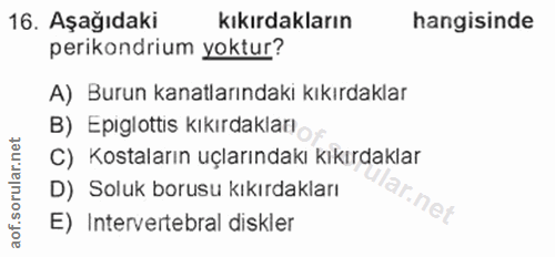16. soru: Aşağıdaki kıkırdakların hangisinde perikondrium yoktur? A) Burun kanatlarındaki kıkırdaklar B) Epiglottis kıkırdaklar…