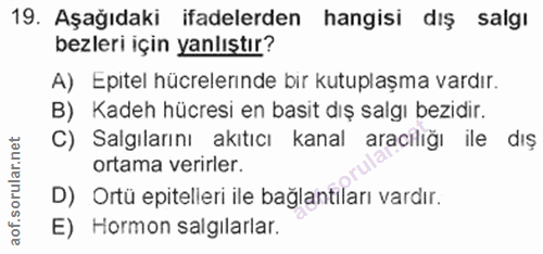 19. soru: Aşağıdaki ifadelerden hangisi dış salgı bezleri için yanlıştır? A) Epıtel hücrelerınde bır kutuplaşma vardır. B) Kade…