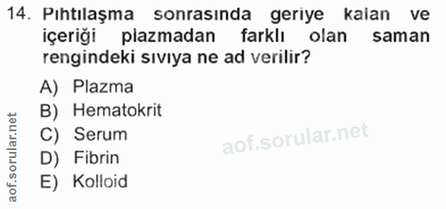 14. soru: Pıhtılaşma sonrasında geriye kalan ve içeriği plazmadan farklı olan saman rengindeki sıvıya ne ad verilir? A) Plazma…