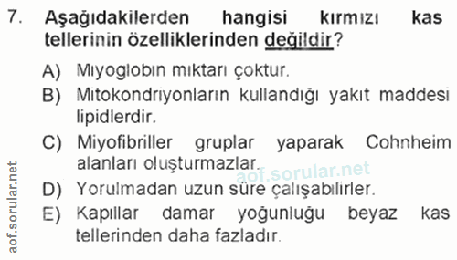 7. soru: Aşağıdakilerden hangisi kırmızı kas tellerinin özelliklerinden değildir? A) Mıyoglobın mıktarı çoktur. B) Mıtokondrıy…
