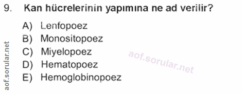 9. soru: Kan hücrelerinin yapımına ne ad verilir? A) Lenfopoez B) Monositopoez C) Miyelopoez i D) Hematopoez E) Hemoglobinopoez