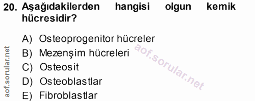 20. soru: Aşağıdakilerden hangisi olgun kemik hücresidir? A) Osteoprogenitor hücreler B) Mezenşim hücreleri Of C) Osteosit D) O…