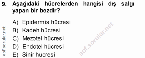 9. soru: Aşağıdaki hücrelerden hangisi diş salgi yapan bir bezdir? A) Epidermis hücresi B) Kadeh hücresi C) Mezotel hücresi D)…