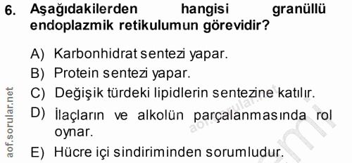 6. soru: Aşağıdakilerden hangisi granüllu endoplazmik retikulumun görevidir? A) Karbonhidrat sentez yapar. B) Protein sentezi…