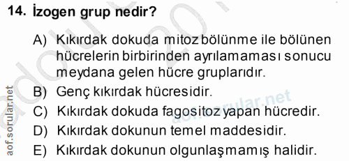 14. soru: İzogen grup nedir? A) Kıkırdak dokuda mitoz bölünme ile bölünen hücrelerin birbirinden ayrılamaması sonucu meydana ge…