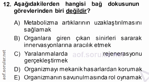 12. soru: Aşağıdakilerden hangisi bağ dokusunun görevlerinden biri değildir? A) Metabolizma artıklarının uzaklaştırılmasını sağ…