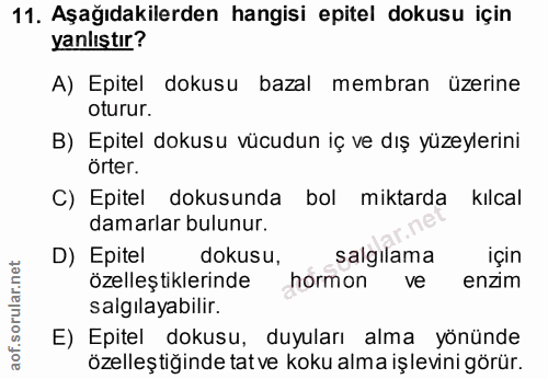11. soru: Aşağıdakilerden hangisi epitel dokusu için yanlıştır? A) Epitel dokusu bazal membran üzerine oturur. B) Epitel dokusu…